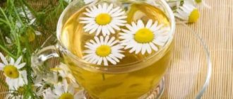 Chamomile infusion to treat cracks in the corners of the lips