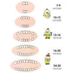 Прорезывание зубов