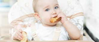 child eats cracker
