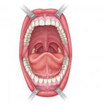 What to pay attention to in the oral mucosa