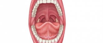 What to pay attention to in the oral mucosa