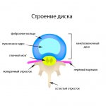 Disk structure